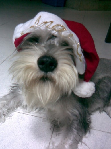 mi primera navidad,no soy hermoso? mi primera navidad,no soy hermoso?